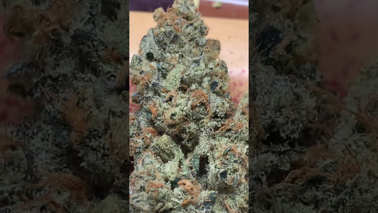 Copycat genetics grape seed Slurpee