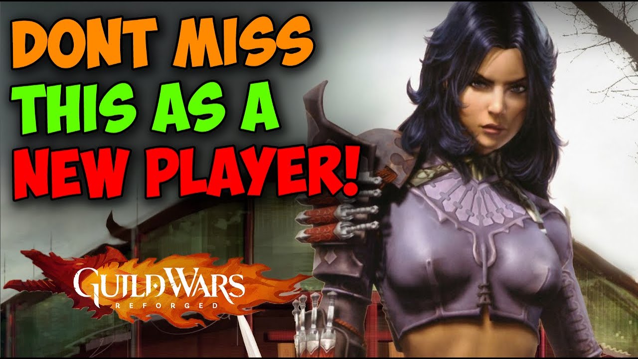 Я ЖЕЛАЛ бы знать ЭТОГО, когда начинал Guild Wars Reforged!
