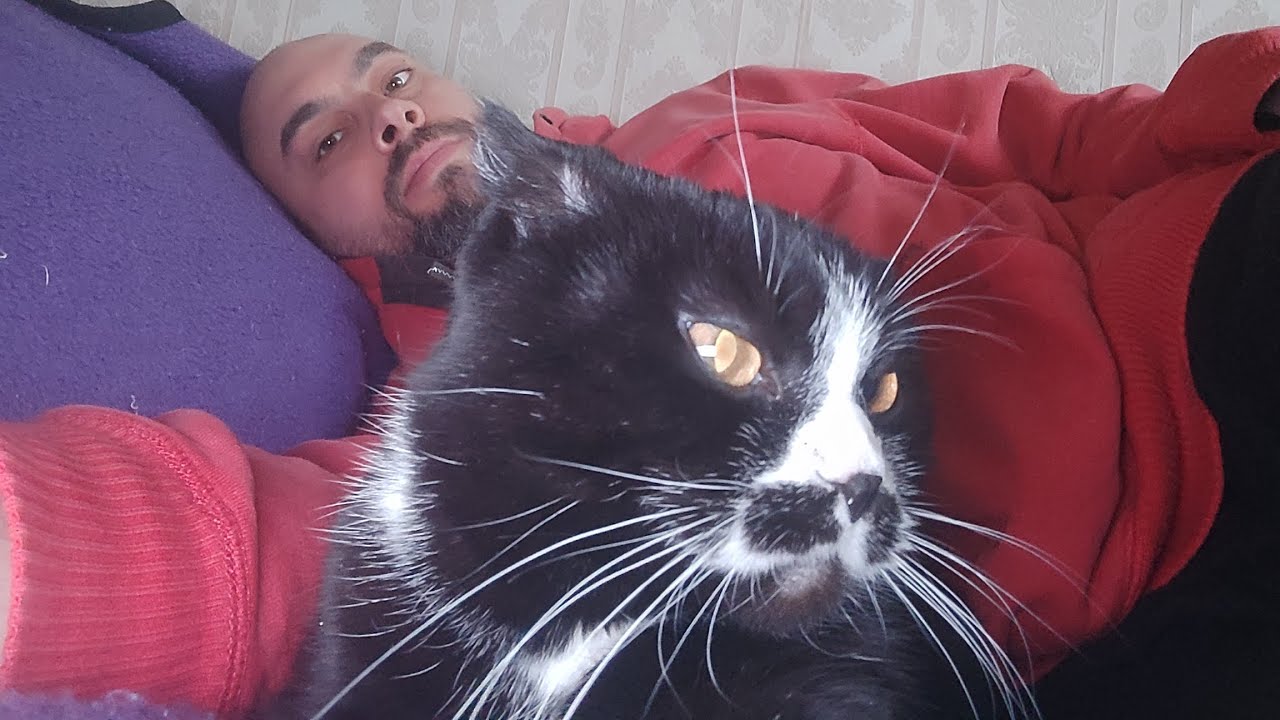 Я☺️ і моя кішка😻Малишка😺