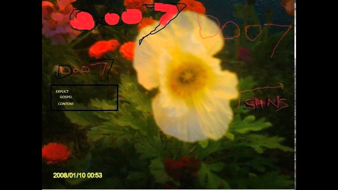 Doo7 chakra
