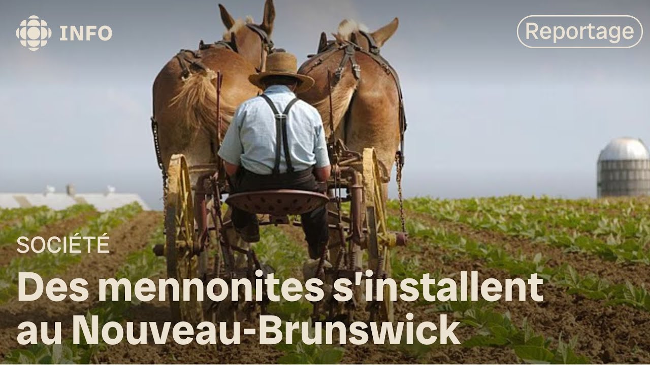 Trois familles de mennonites arriveront au Nouveau-Brunswick cette semaine