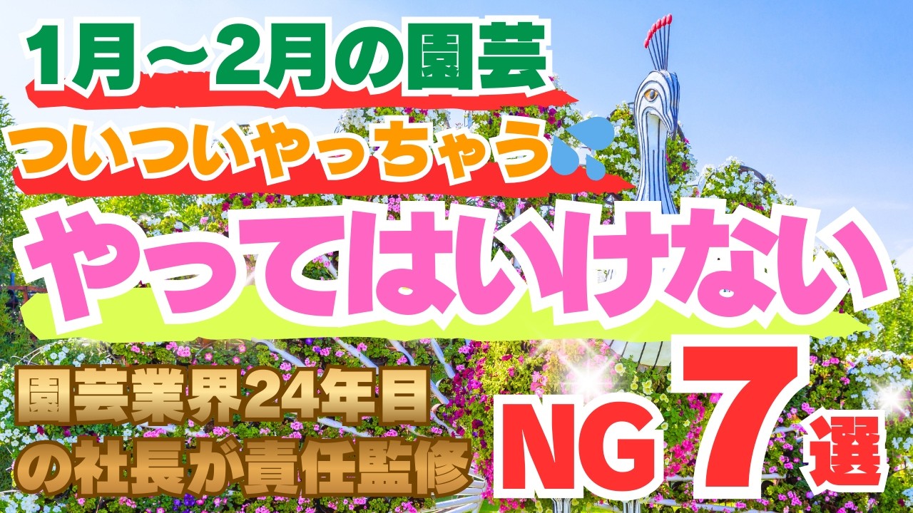 【枯れちゃう前に！】1月〜2月の園芸　ついついやりがちな「やってはいけないNG」7選