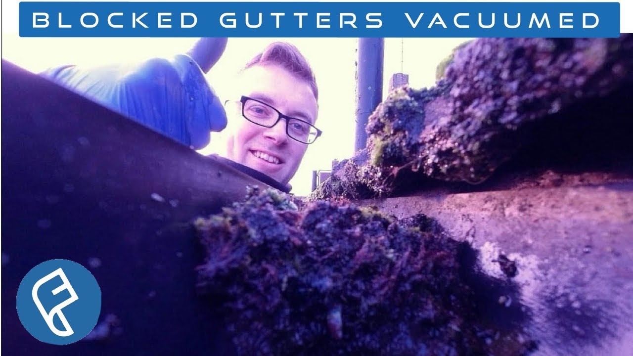 Gutter Gardens and how I clear them