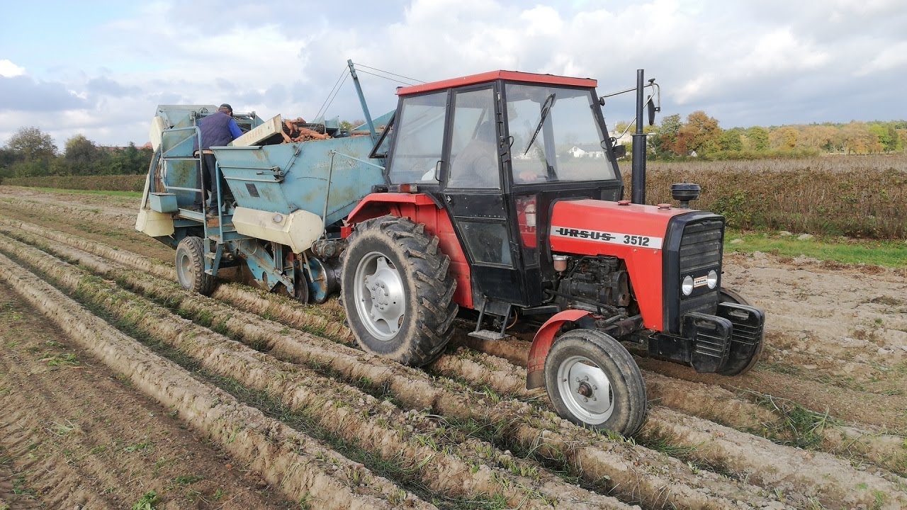 🥕 Kopanie MARCHWI 2021 🥕 Anna Z644 + Ursus 3512