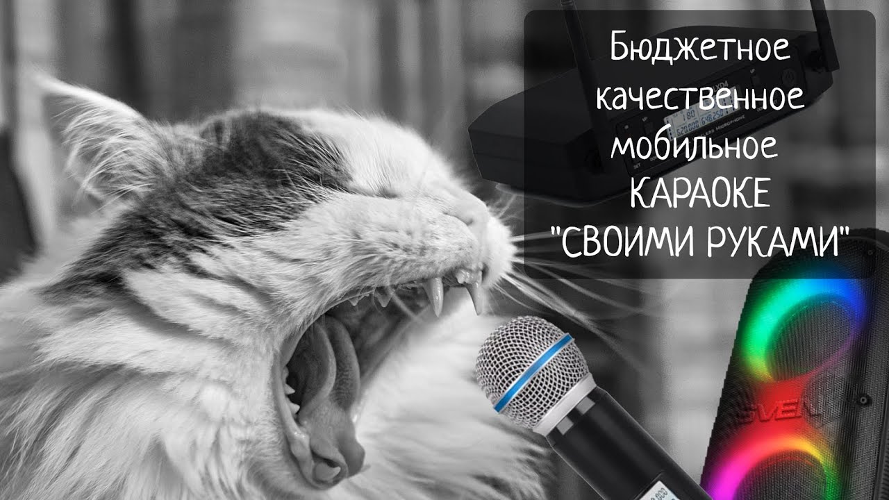 Собираем качественное, бюджетное, мобильное КАРАОКЕ 