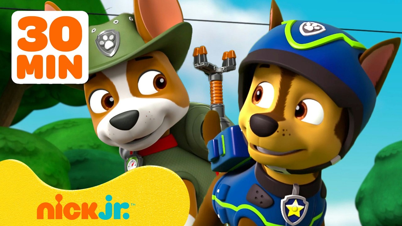 PAW Patrol |Freundschafts-Abenteuer mit Chase & Tracker! | 30 Minuten | Nick Jr. Deutschland