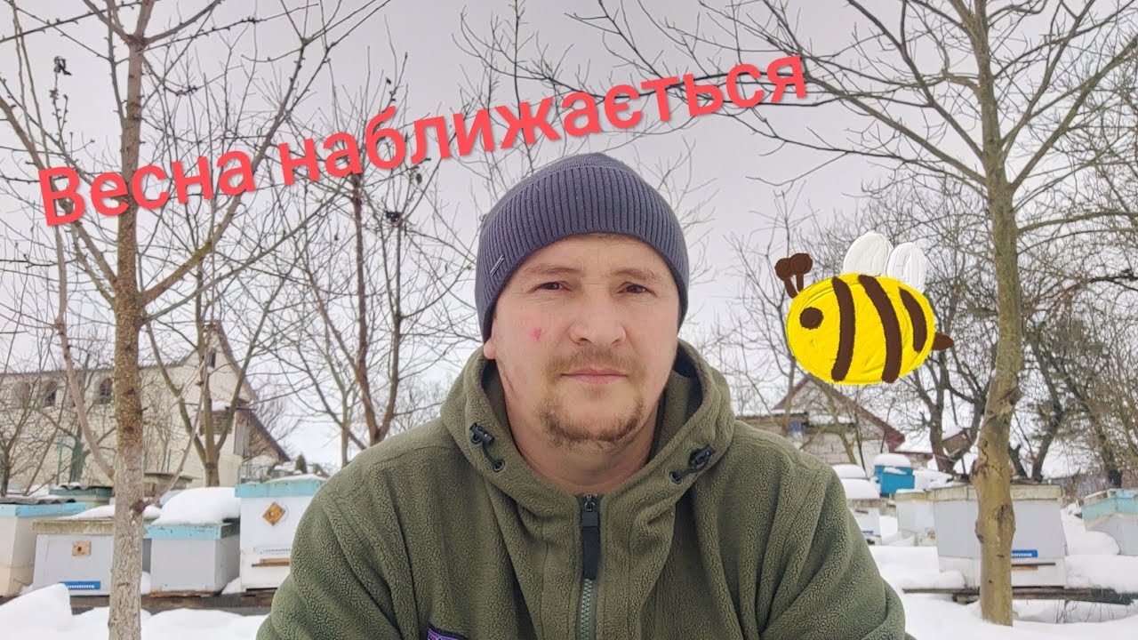 Лютий: Найважливіший місяць зимівлі бджіл. На що потрібно звернути увагу?