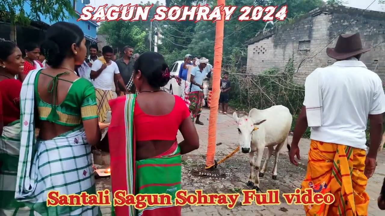 Santali Sagun Sohray Full video 2024#sohray#sagunsohray#santalivideo#shortvideo