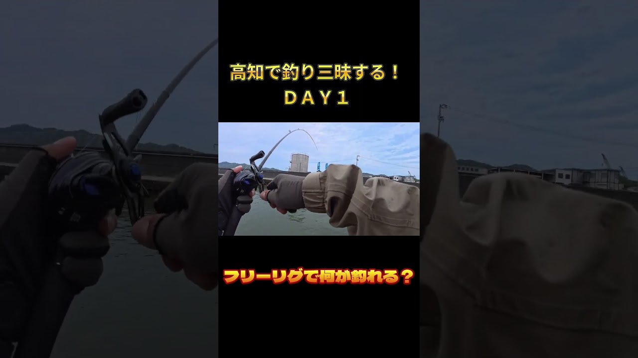 高知で釣り三昧する！ＤＡＹ１ショート