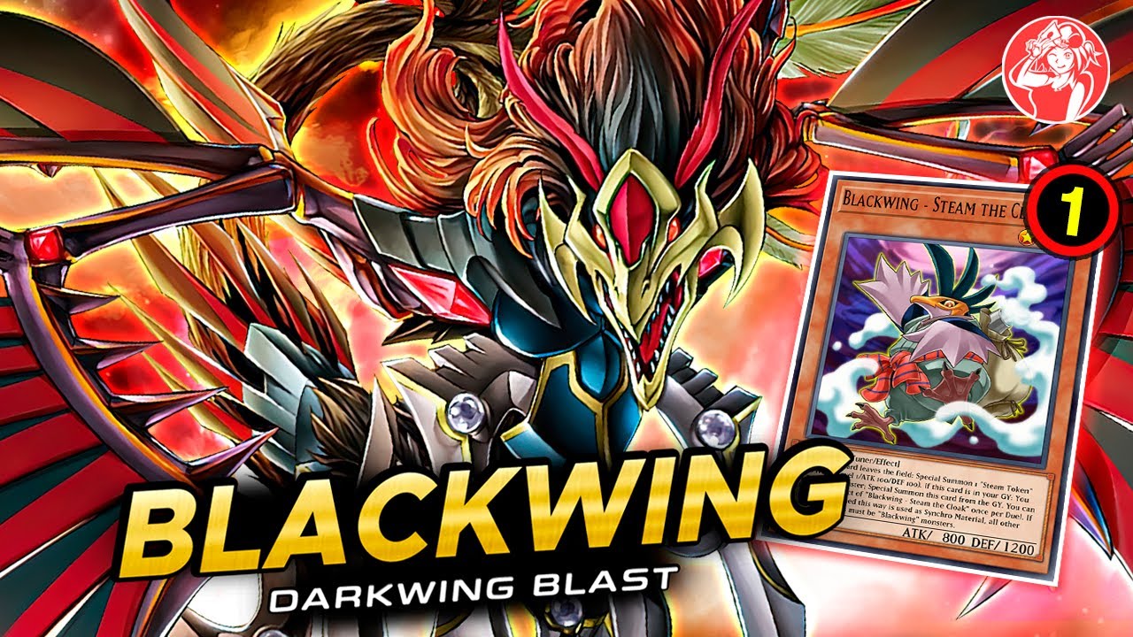 BLACKWING Deck Post Darkwing Blast | EDOPRO Duels