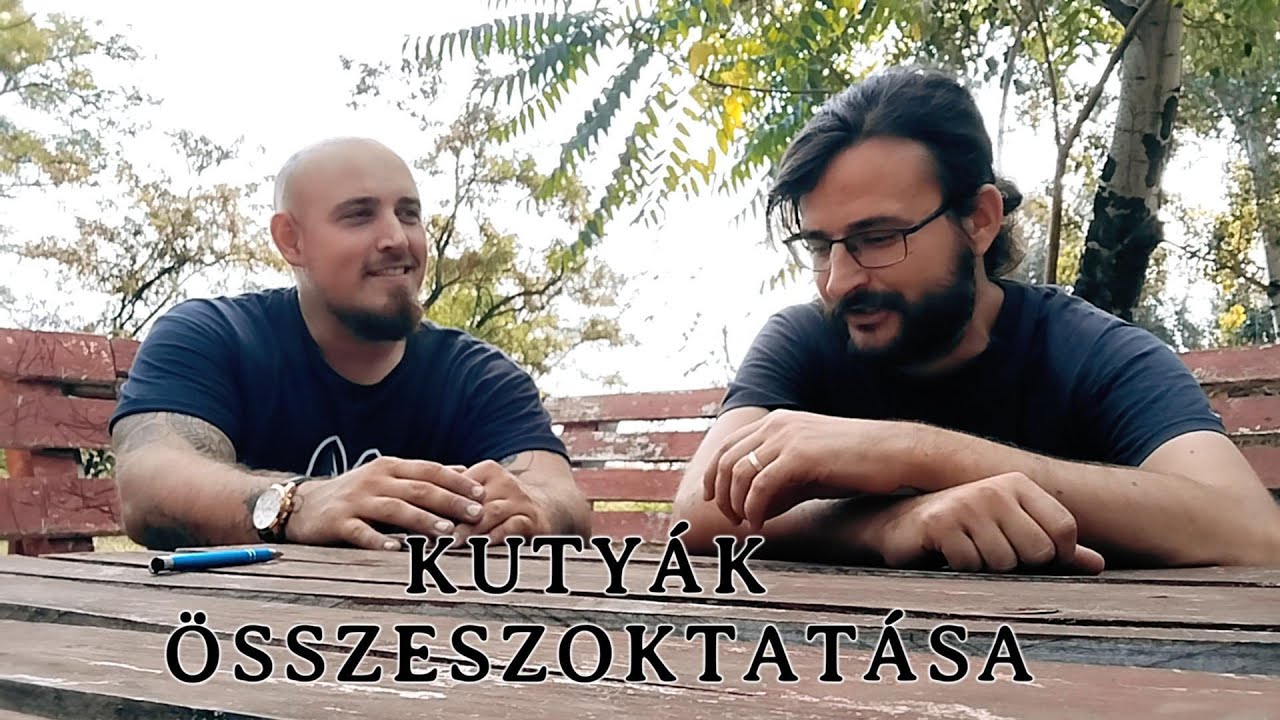 1. Rész: Kutyák összeszoktatása