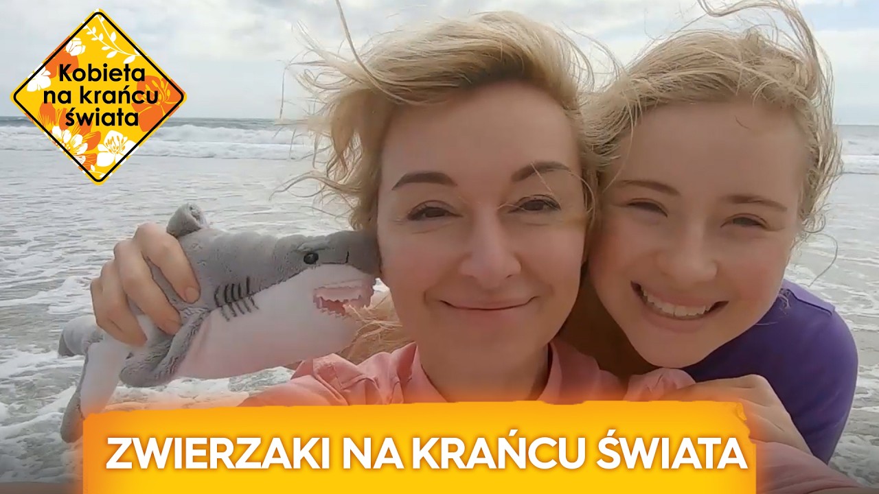 Martyna Wojciechowska vs. dzikie zwierzęta 🦈🦁🐒 | Kobieta na krańcu świata