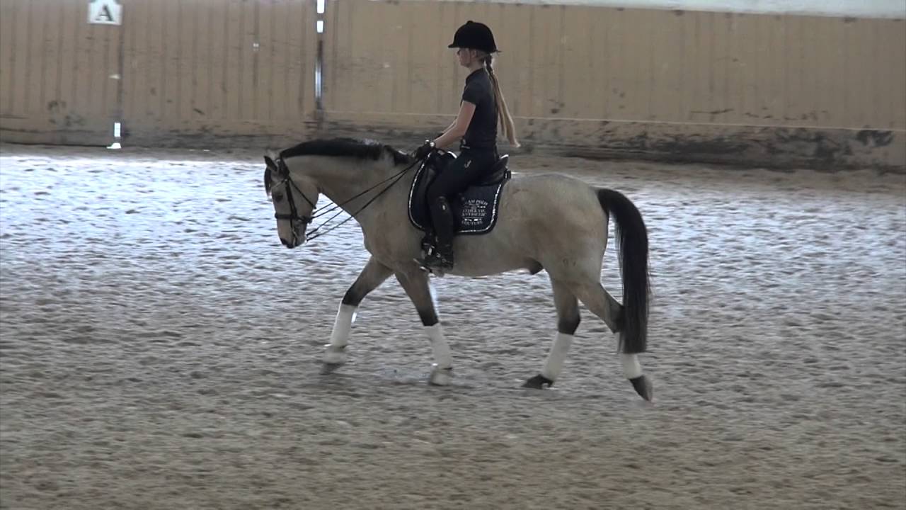 {Rebecca und Mo }Reitunterricht bei Ulrike Nivelle