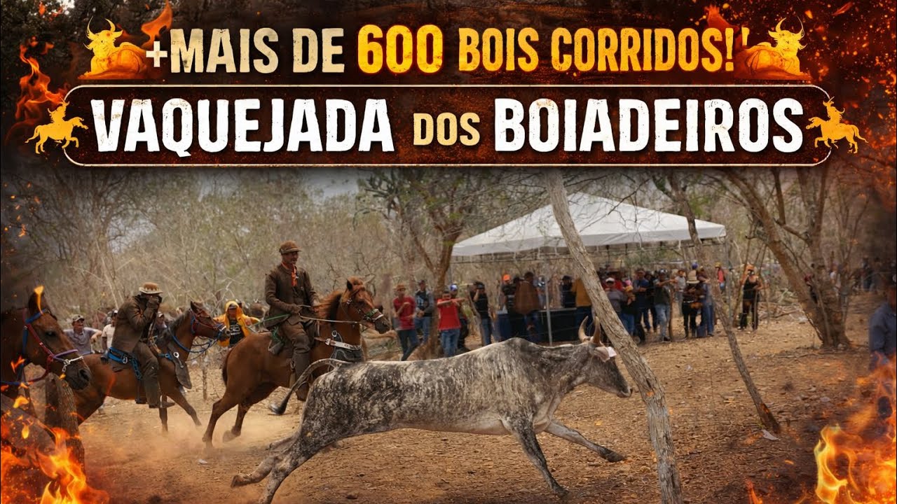+ DE 600 BOIS CORRIDO NA VAQUEJADA DOS BOIADEIROS • FAZ.BELEZA 🌵💥🚀