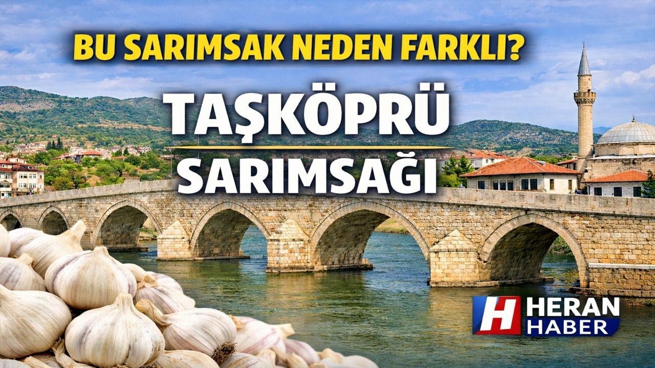 BEYAZ ALTIN #TAŞKÖPRÜ SARIMSAĞI NEDEN FARKLI?