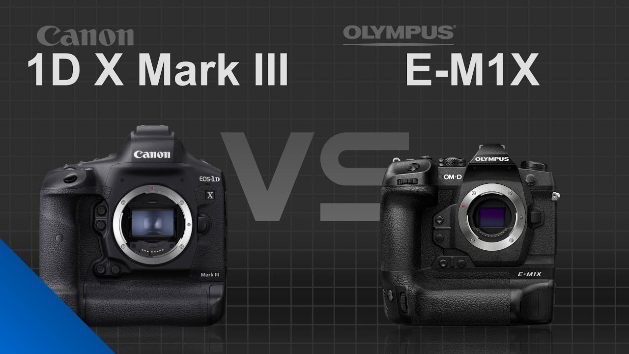 Canon EOS 1D X Mark III vs Olympus OM-D E-M1X