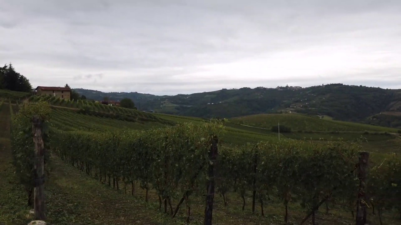 Grandine - 6 settembre 2019 Alba Madonna Dicomo danni grandinata