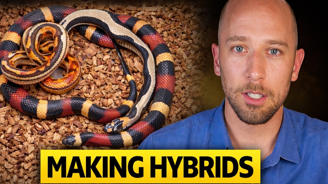 The Future of Pet Snakes: Domestication by Hybridization - Ep. 238