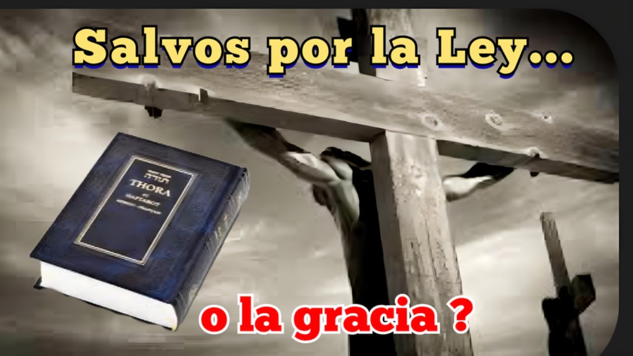 Salvos por la Ley ?