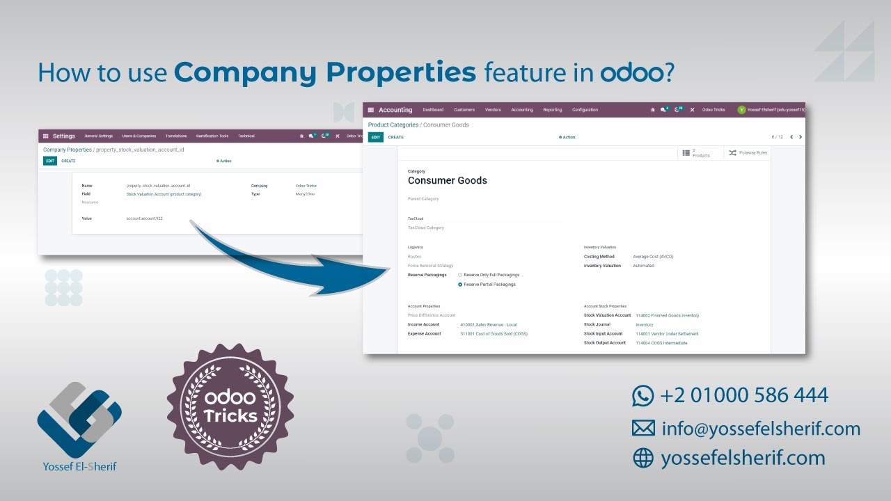 How to use Company Properties in Odoo?