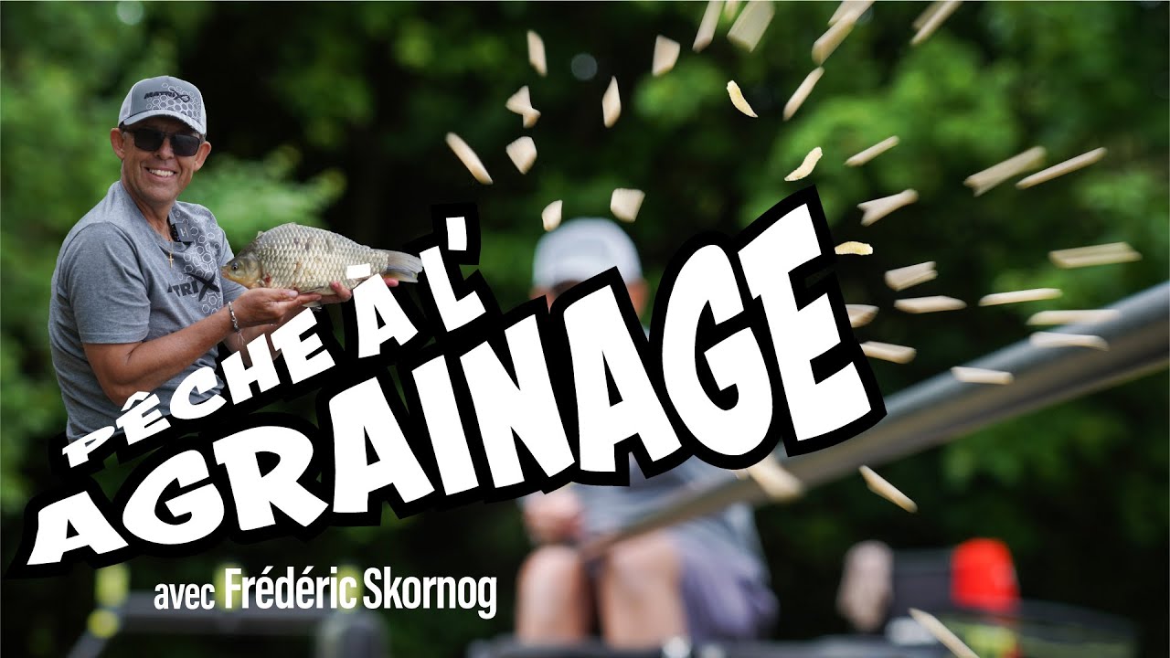 🎣 PÊCHE DES GARDONS À L’AGRAINAGE – Les conseils de Frédéric Skornog !
