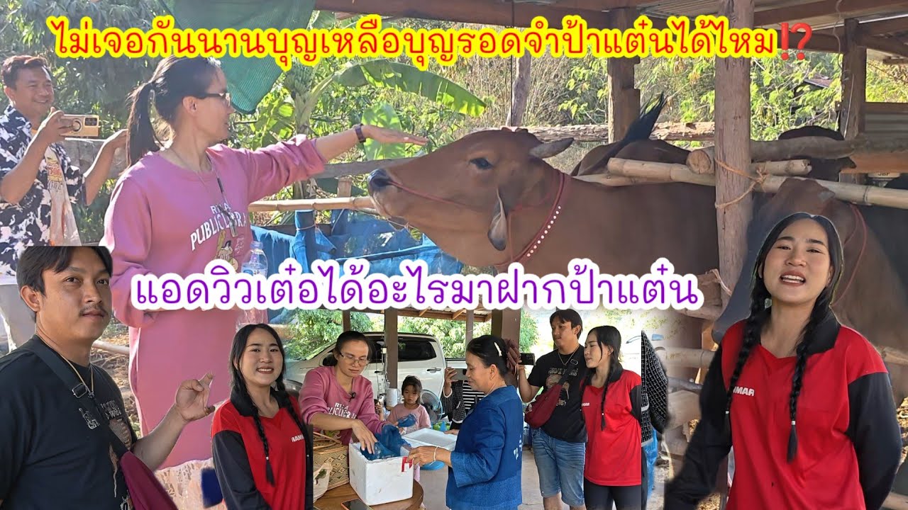 แอดวิวเต๋อได้อะไรมาฝากป้าแต๋น  สุดอึ้งเห็นบุญเหลือบุญรอดเปลี่ยนไป#ปุ๊แม่น้องหมิว 