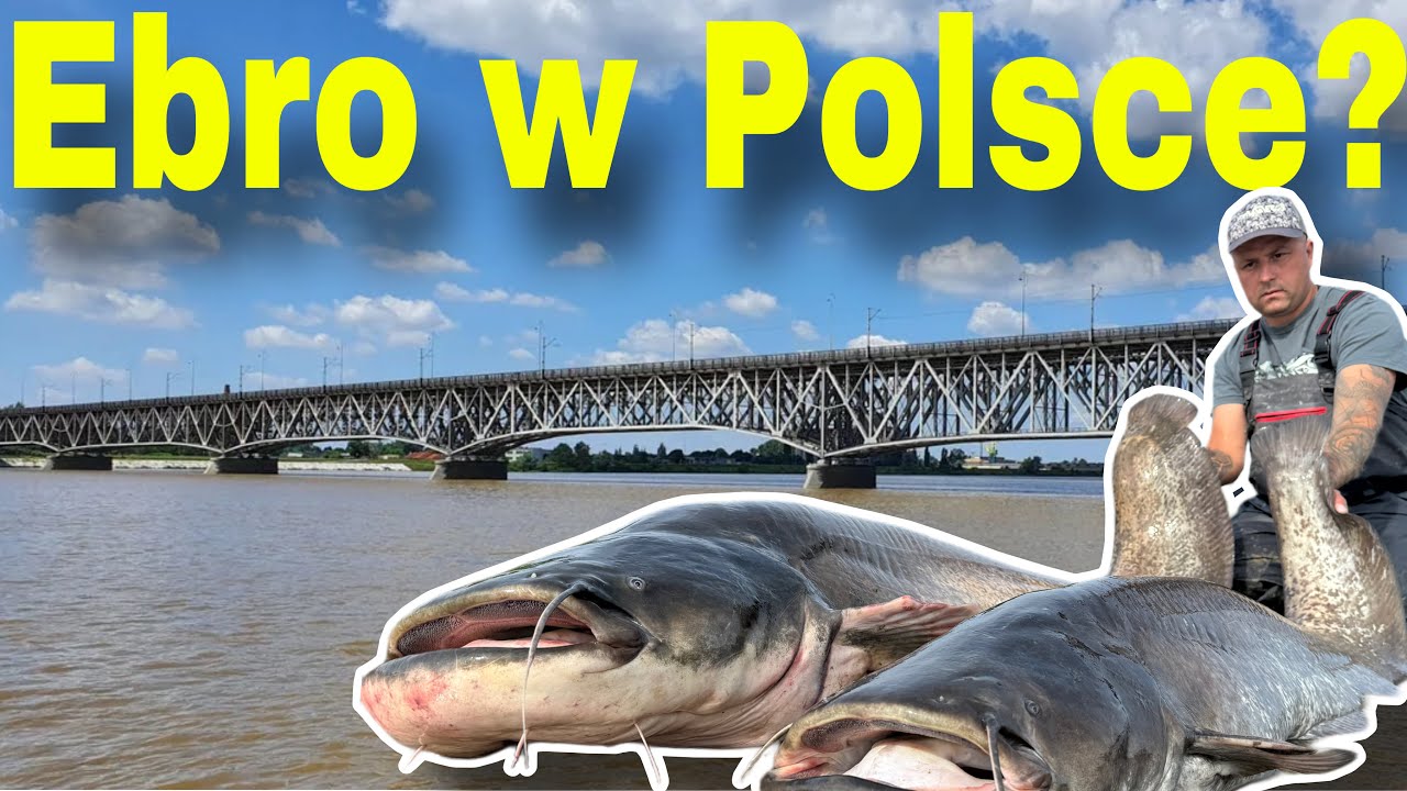 SUMOWE SZALEŃSTWO W PŁOCKU?