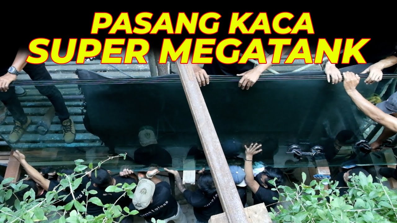 #EPS20 PASANG KACA SUPER MEGATANK