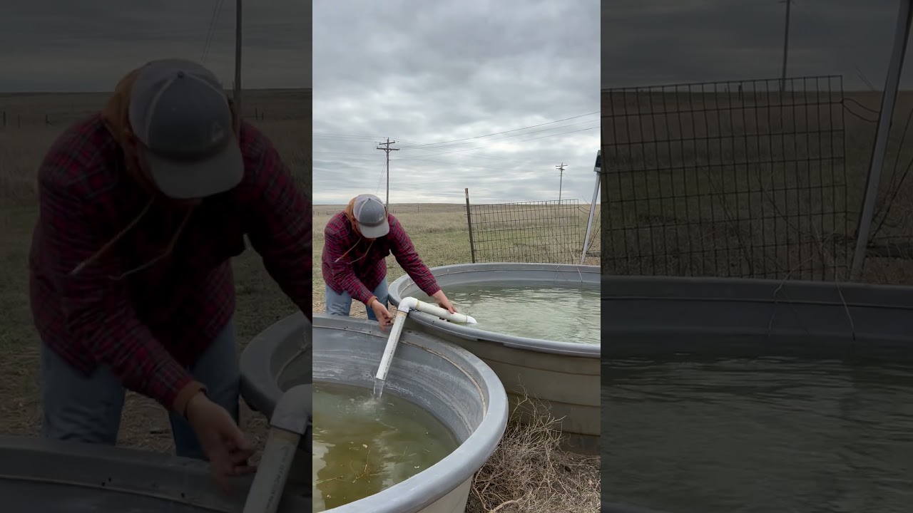 Really easy way to siphon water. I like to have an extra tank for extra water! Ranch on baby!