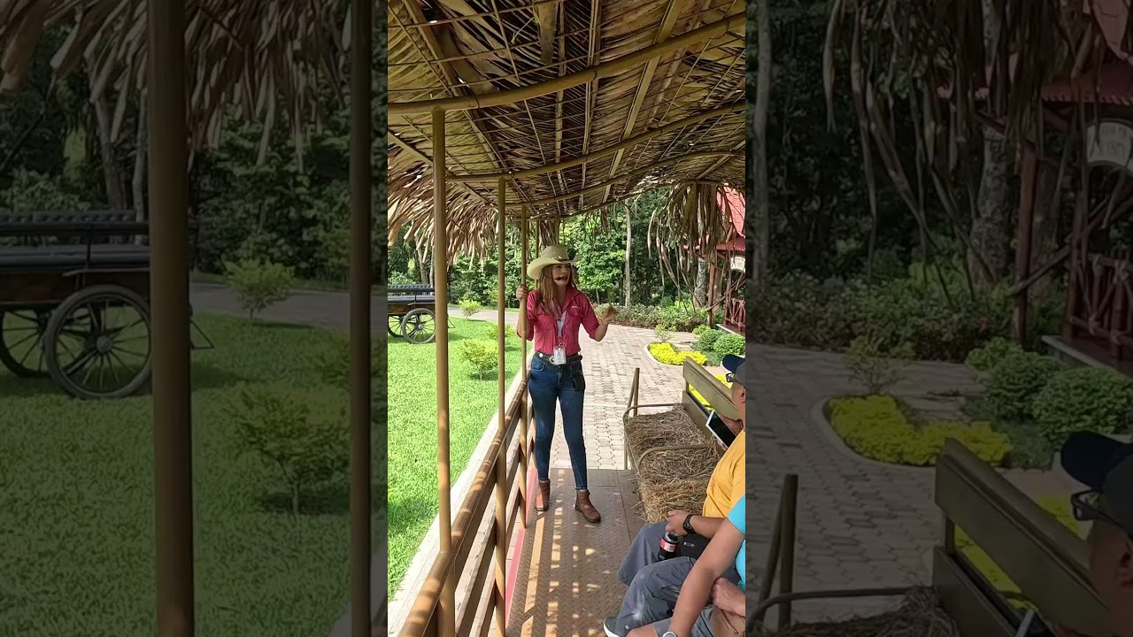 Xejuyup, El Paque de Aventuras del #irtra #guatemala #retalhuleu #ytshorts #youtubeshorts