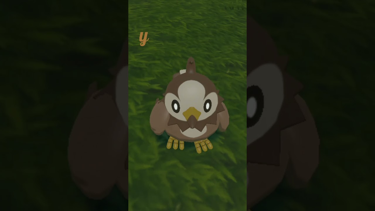 Random Shiny Starly!!! 