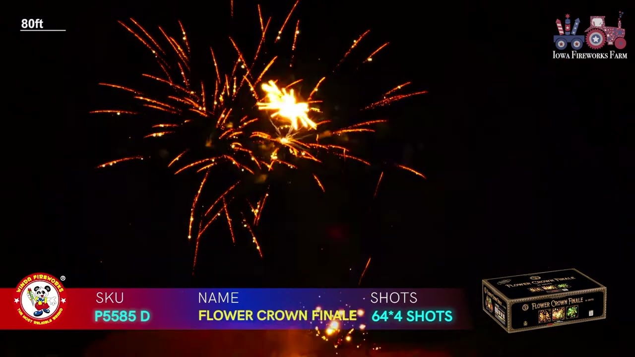 Pyro Party Pack | 256 Total Shots! 500 Gram Cased Set by Winda