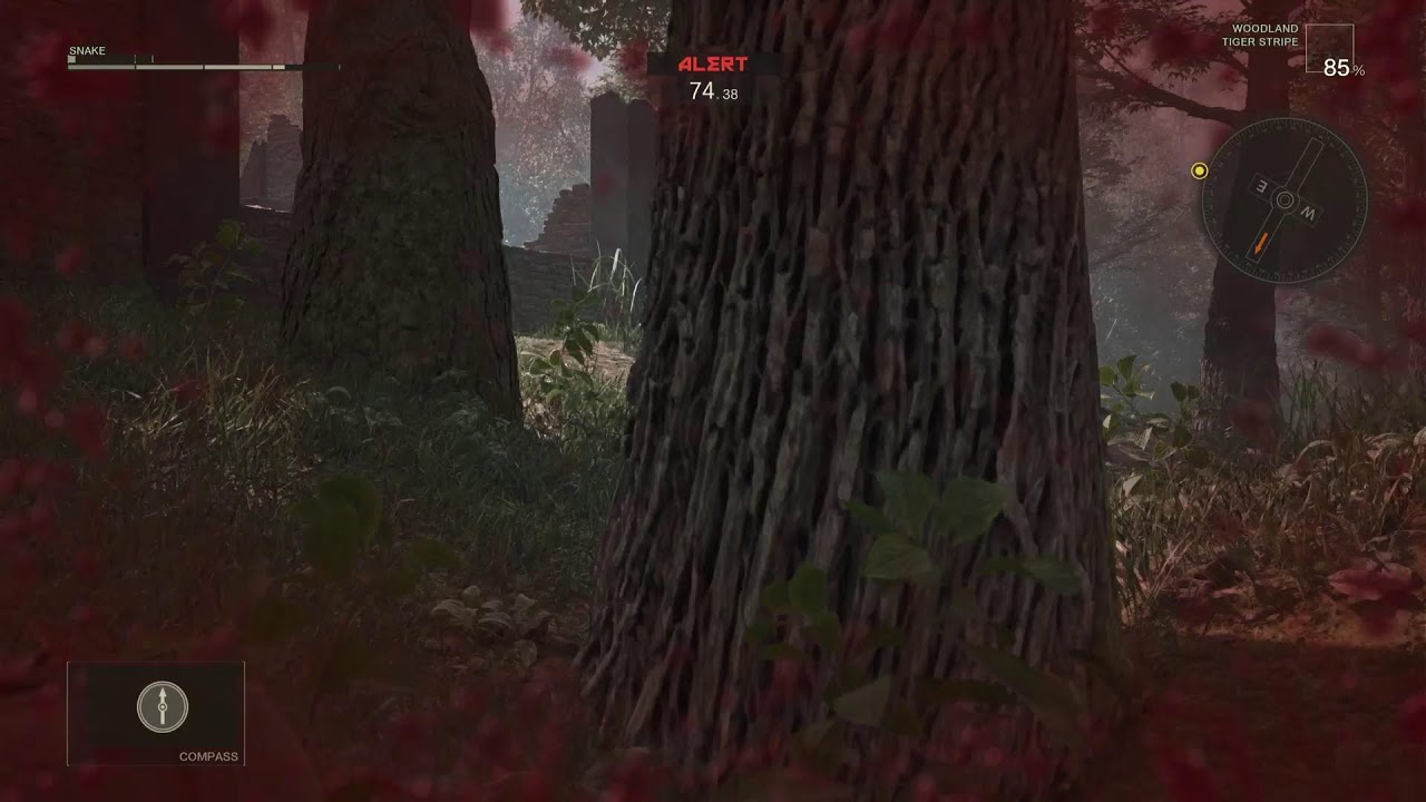 Metal Gear Solid
