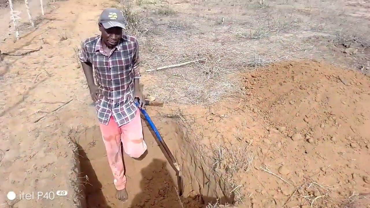 Let's make this malindi desert to a fruits producer space