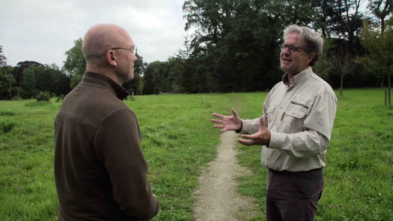 Hoe de gemeenschap Kasteelpark Elsloo heeft gered | Natuur en Zo