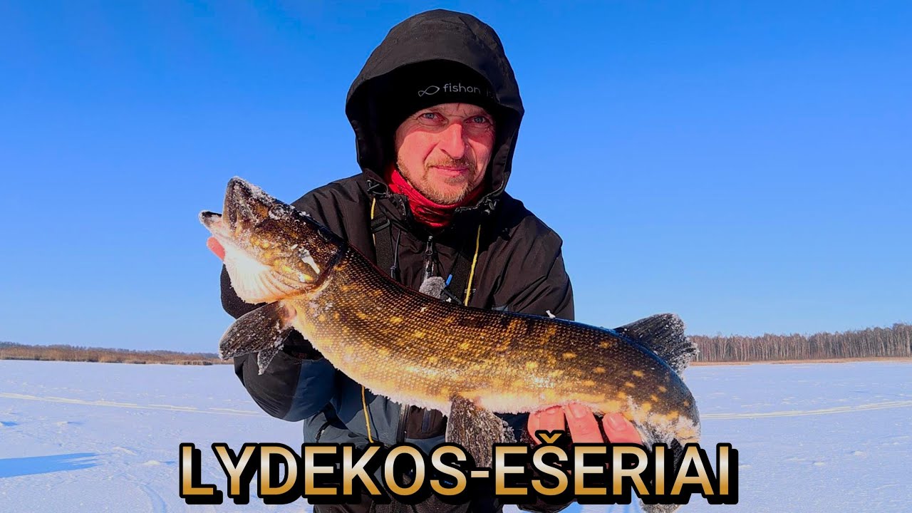 Lydekos PLĖŠĖ mešketytę iš rankų,nors gaudžiau tik ešerius! Geriausia žvejyba šią žiemą ! Ledas 2026