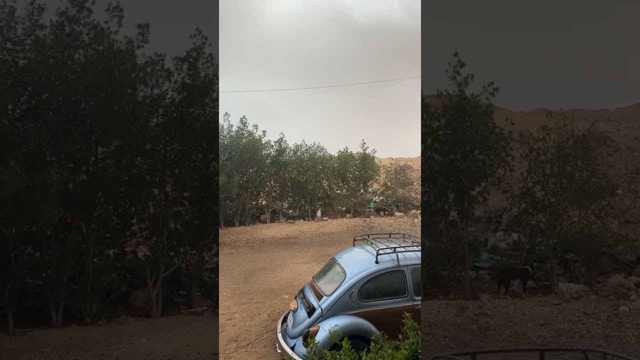 Посмотрите на чудо природы. В ЕГИПТЕ ДОЖДЬ🌧️🌧️🌧️