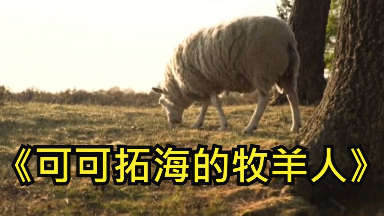 放松音乐 疗愈音乐 | 可可拓海的牧羊人