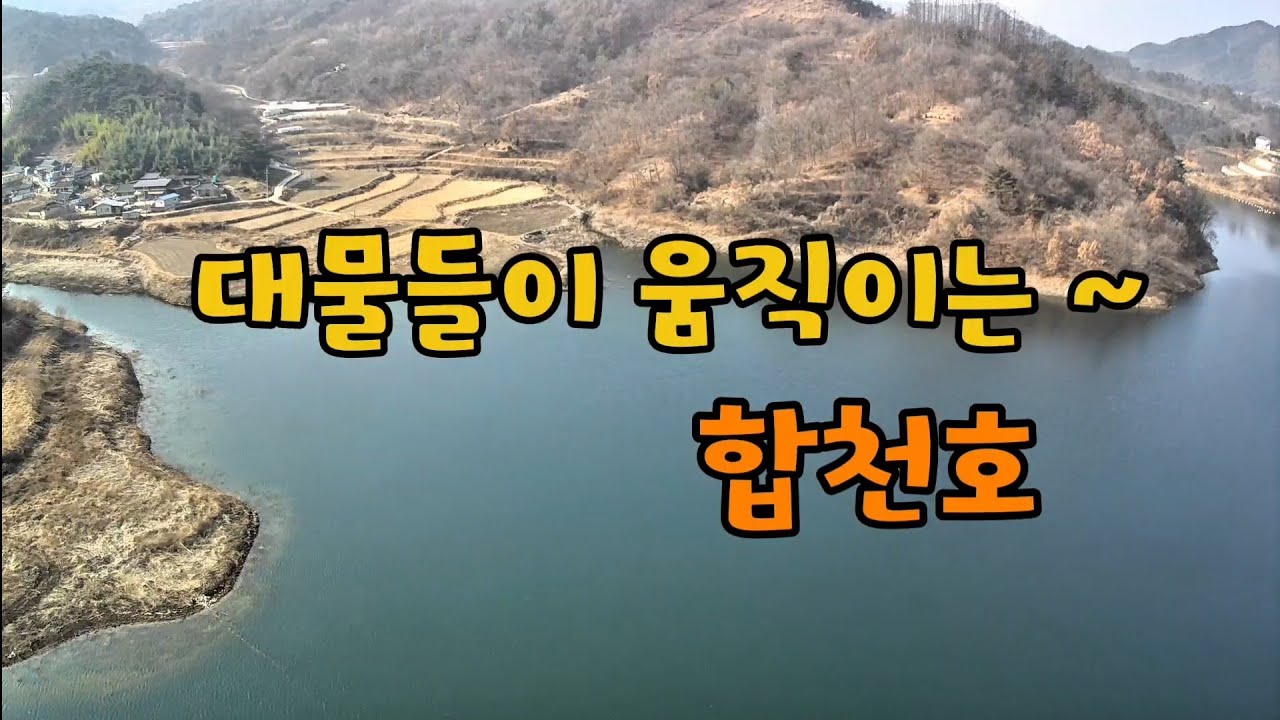 숨겨진 보물터 호조황 소식에 달려갔습니다 #붕어낚시 