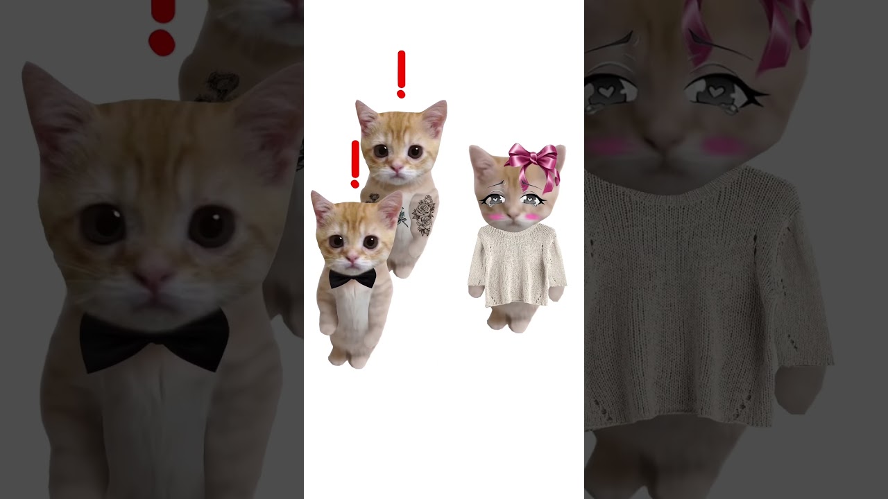 Кто такая Ш - общительная? Киса объясняет 😻