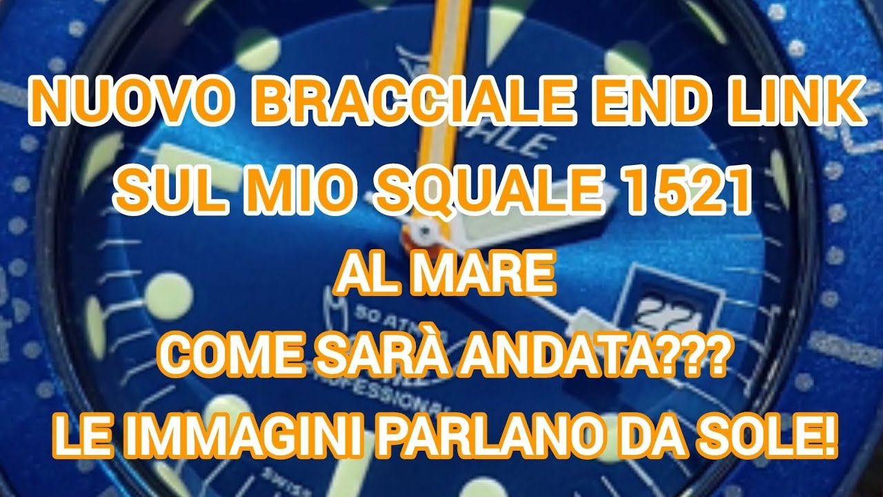 Nuovo Bracciale sul mio Squale 1521. Al mare! Le immagini parlano da sole! 🌊 🌞 🦈