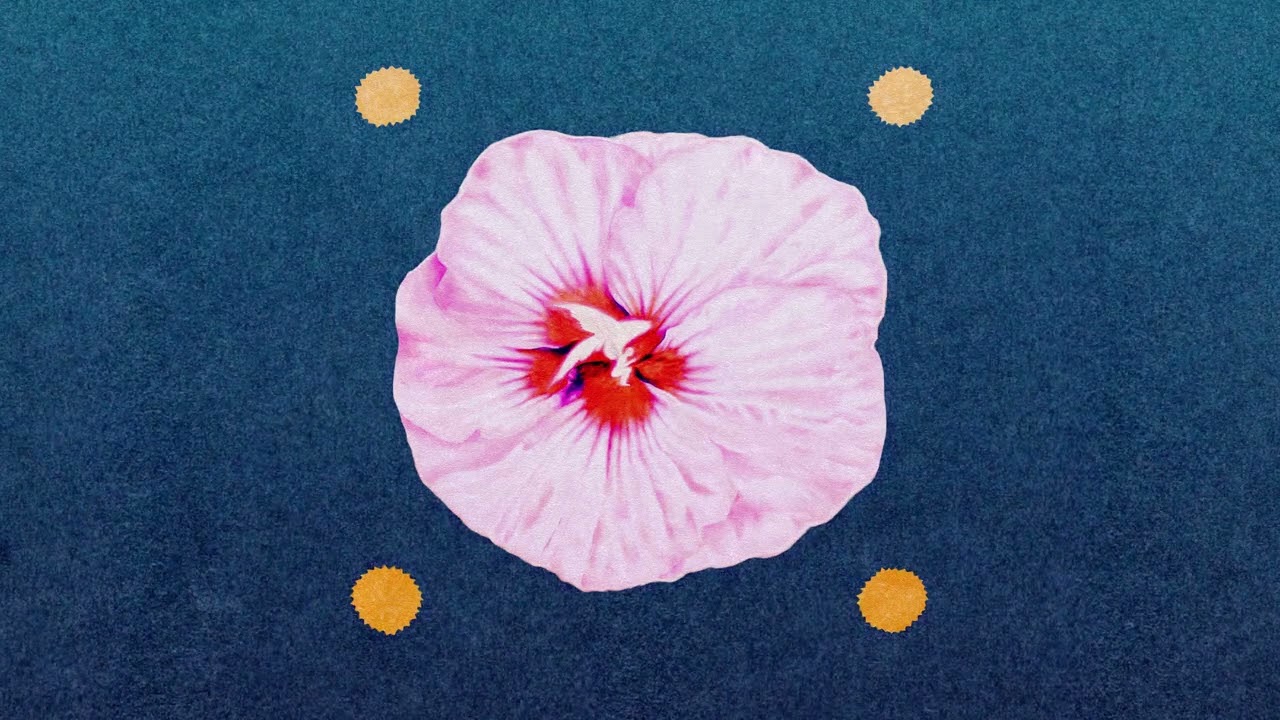 L'Impératrice, Louve — chrysalis [Audio Video]