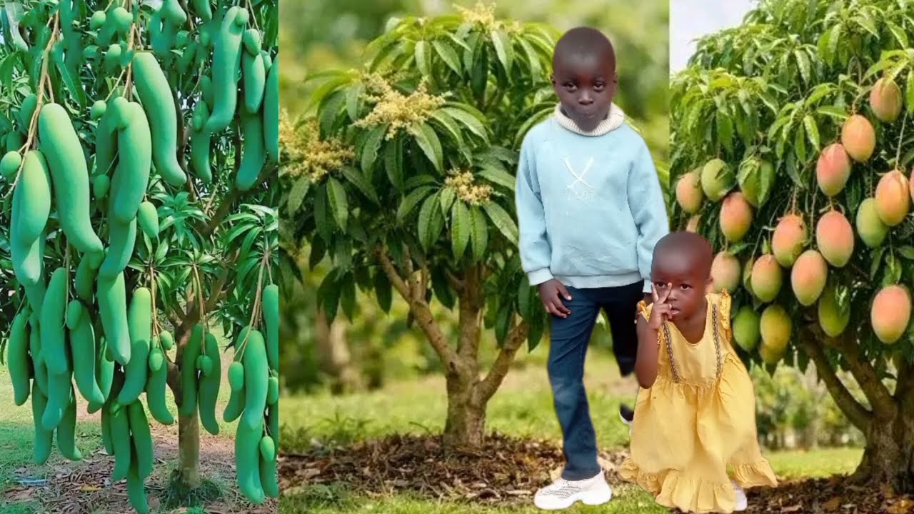 Amenyo Yarakuzengereje umwembe ni Umuti nizindi Ndwara