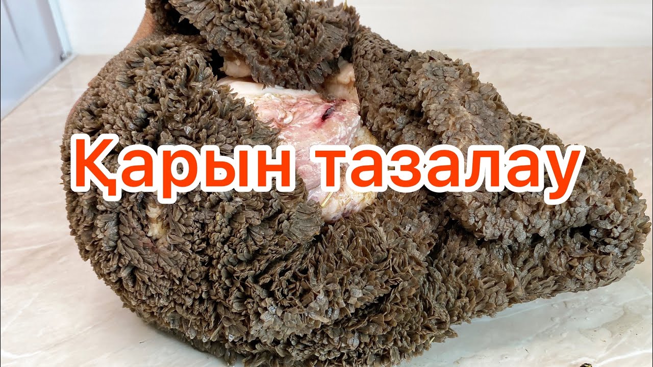 ҚАРЫН ТАЗАЛАУ.ҚАРЫНДЫ ТЕЗ ТАЗАЛАУДЫҢ ӘДІС-ТӘСІЛІ.😱 10мин тазалап тастаймыз👏Как очистить требуху