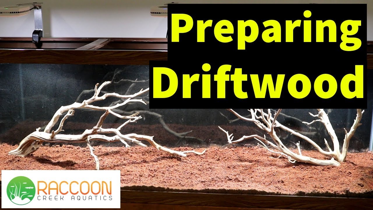 How to Prep Driftwood for an Aquarium | Step-By-Step 125 Gallon Planted Tank Set up | Episode 4