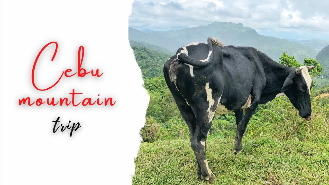 CEBU MOUNTAIN EXPERIENCE | CEBU TRANSCENTRAL HIGHWAY ROAD TRIP | CEBU &hearts;️