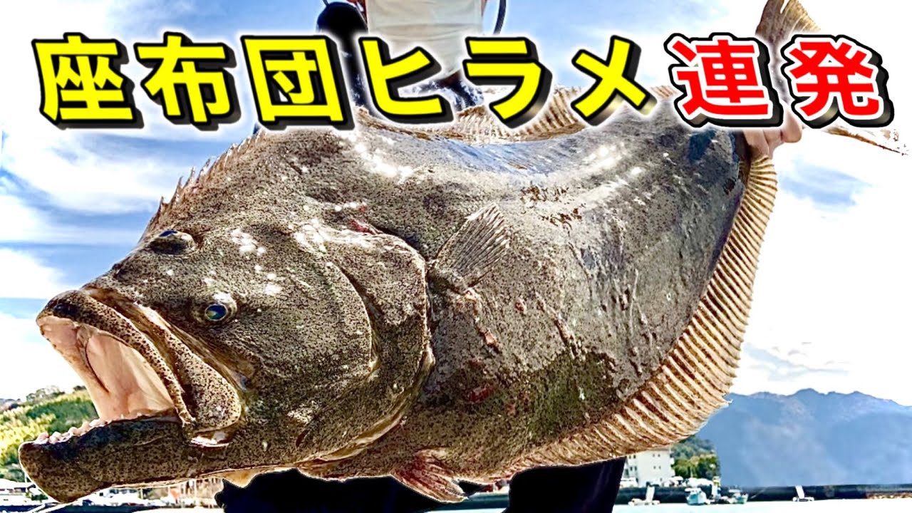 昼間に巨大ヒラメが連発する中毒性高いルアー釣り【もはやエサ】サーフや堤防でお試し下さい
