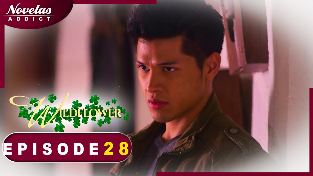 FLEUR SAUVAGE - Episode 28 - Novelas Complete en Francais