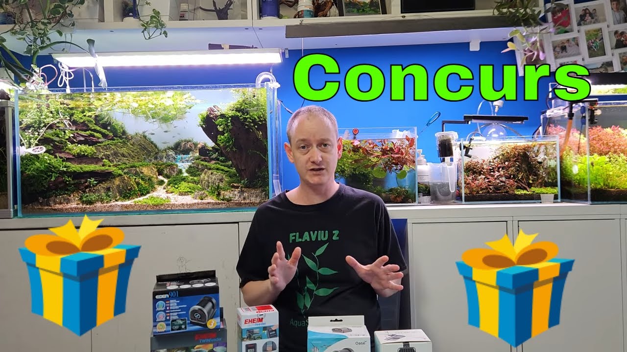Acvaristica vara: pregatirea acvariilor, produse folositoare + concurs de ramas bun!