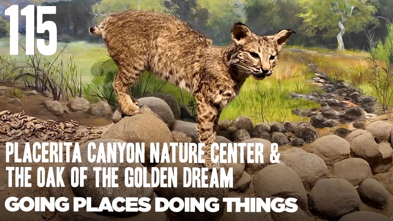 Placerita Canyon Nature Center & The Oak of The Golden Dream  — 115